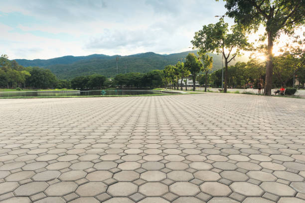 Best Concrete Paver Driveway  in Clayton, NC