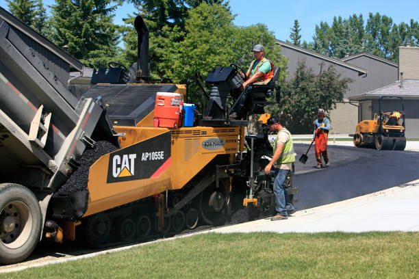 Best Driveway Paving Contractor  in Clayton, NC